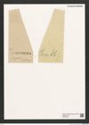 Diatomeae indet. Zeichnungen Sammlung Grunow (NHMW-BOT-W0374589)